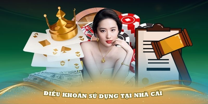 Điều khoản sử dụng tại nhà cái TIC88 