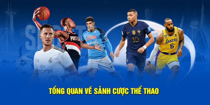 Tổng hợp khái quát chung về sảnh thể thao
